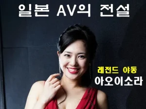 레전드 야동 아오이소라 노모