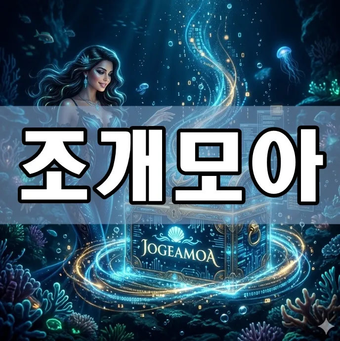 조개모아 표지
